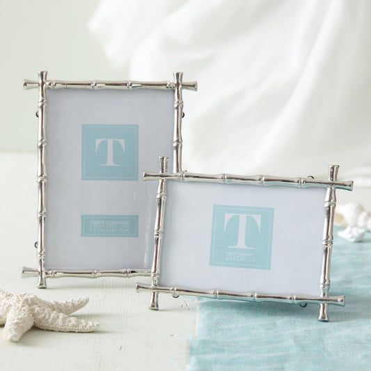 Silver Bamboo Frames