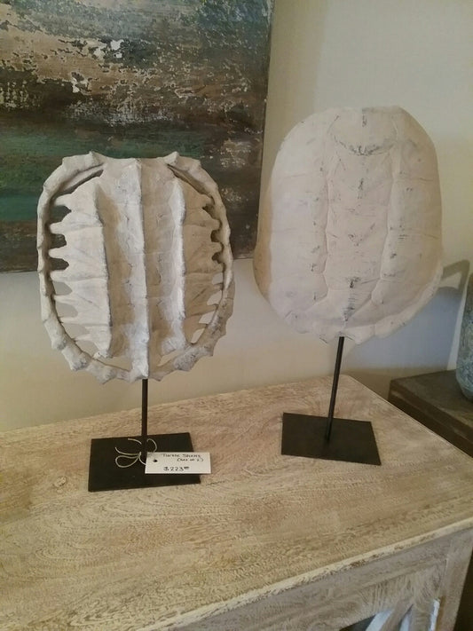 Turtle Shells (Set Of 2)