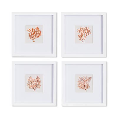BRANCH CORAL PETITE PRINTS -Set of 2
