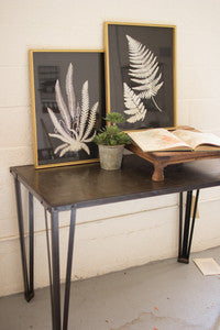 Black and White Fern Prints Under Glass - Set of 2
