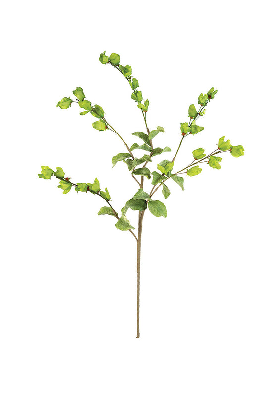 Botanica 3187