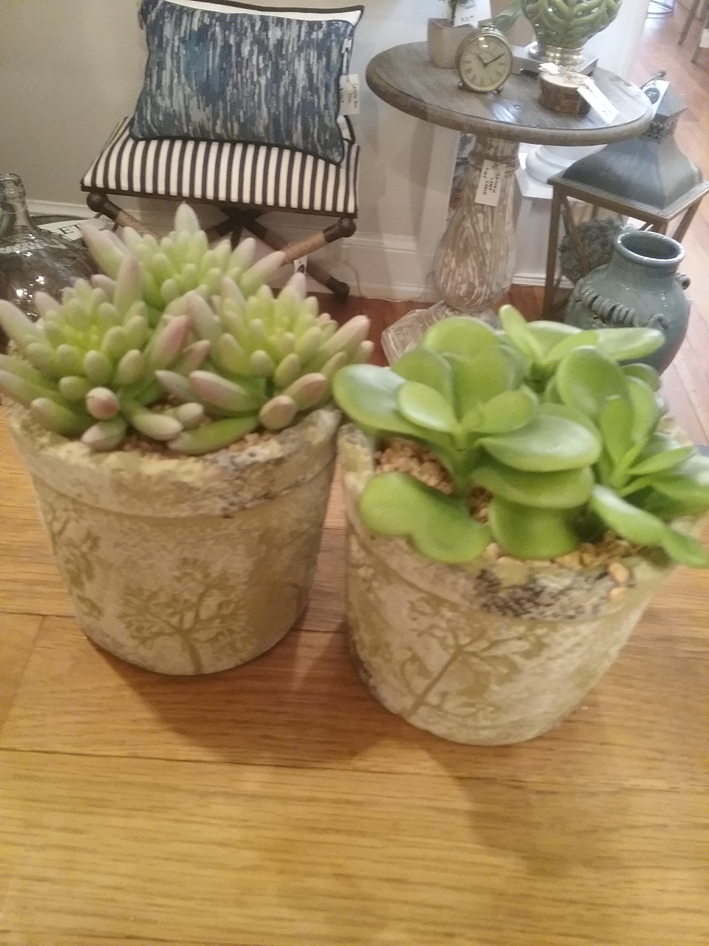 Stamped Ceramic Pot Succulents