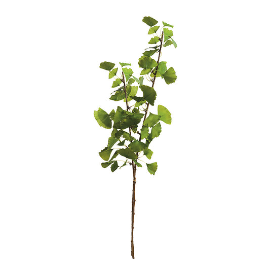 Aspen Branch 51"