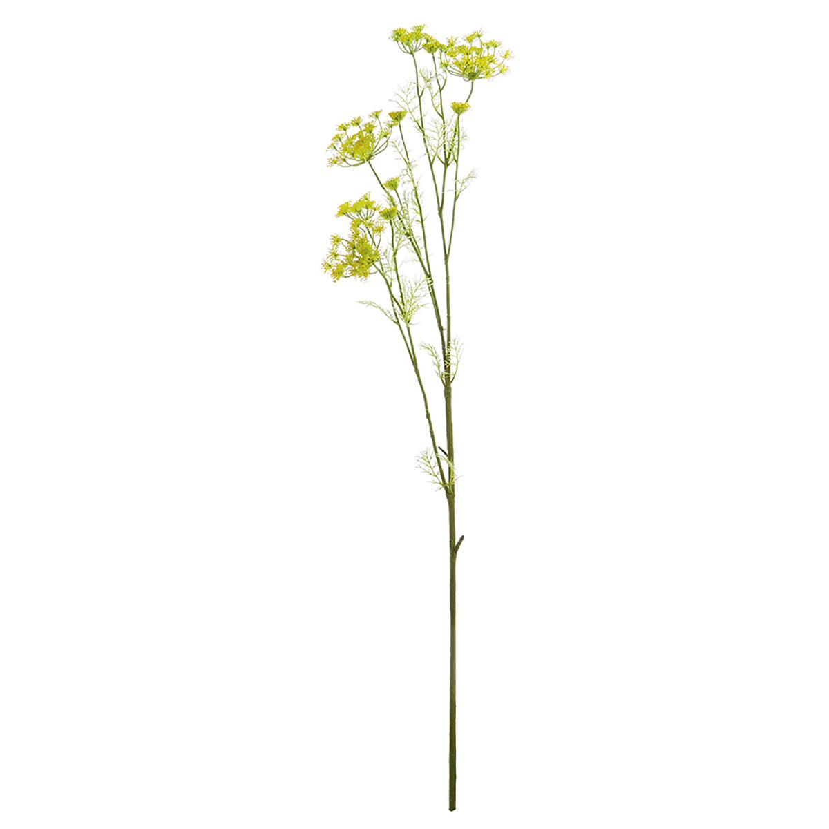 Anise Stem -28.5"