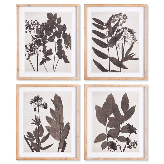 PRESSED FOLIAGE PRINTS -Sets of 2