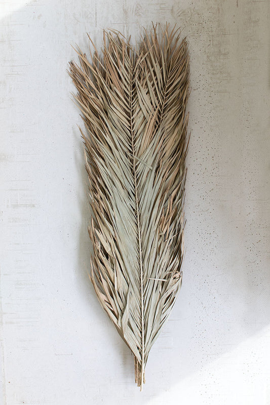 Date Palm Bundle