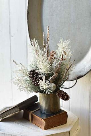 Potted Cosmos Pine Centerpiece