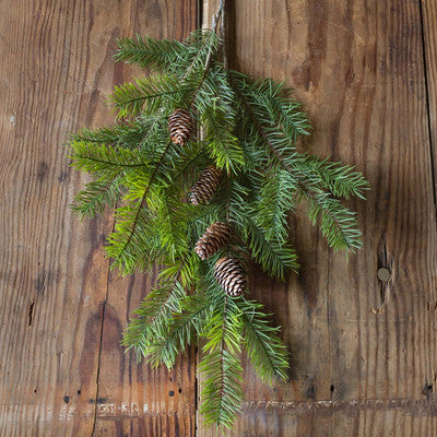 Fir Branch With Cones