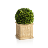 Annecy Boxwood Topiary