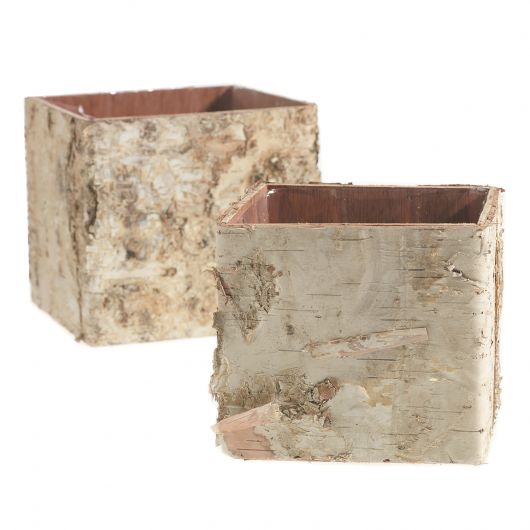 Birch Pots