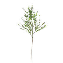 Botanica #850
