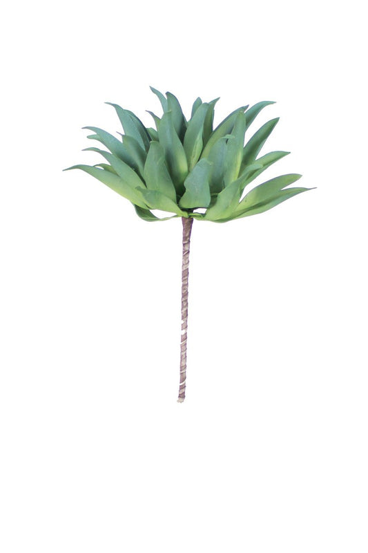 Botanica #896