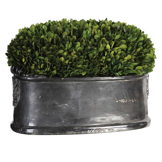Boxwood Dome Centerpiece