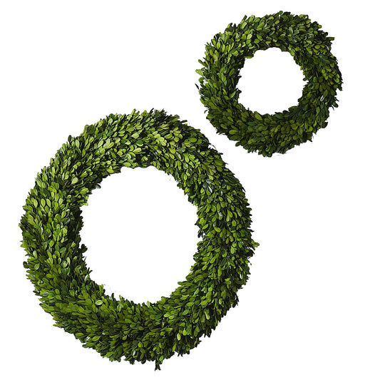 Accent Boxwood Circle Wreath 24"