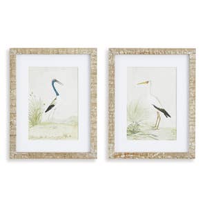 Wading Bird Print (Sold Individually)