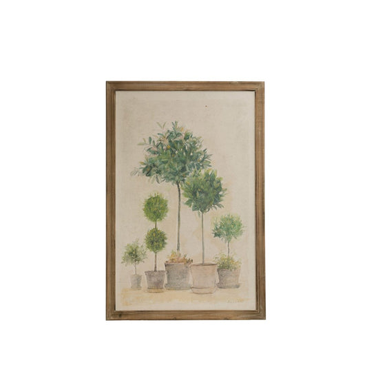 Wood Framed Boxwood and Topiary in Pots