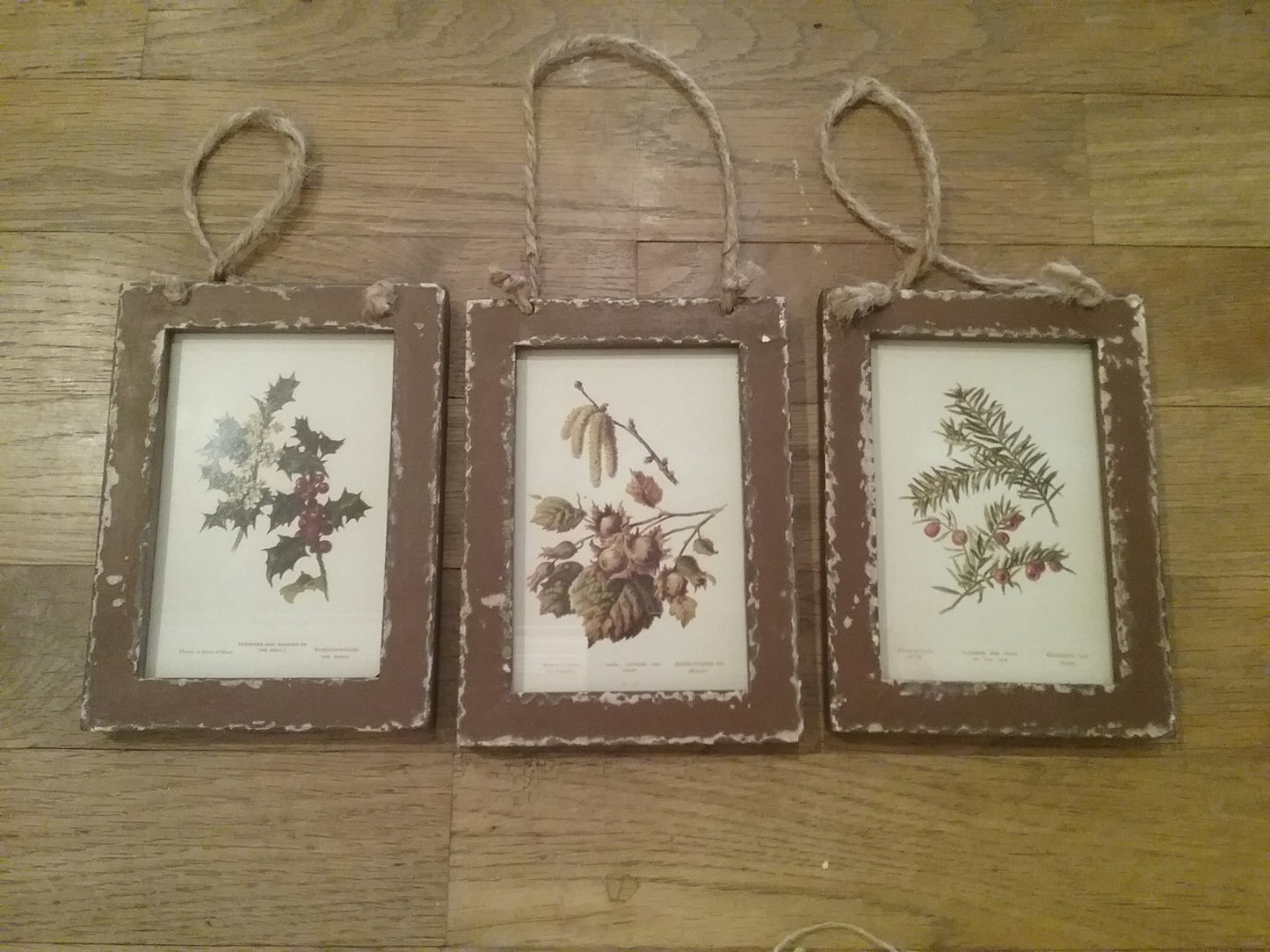 Framed Botanical Print Ornaments S/3