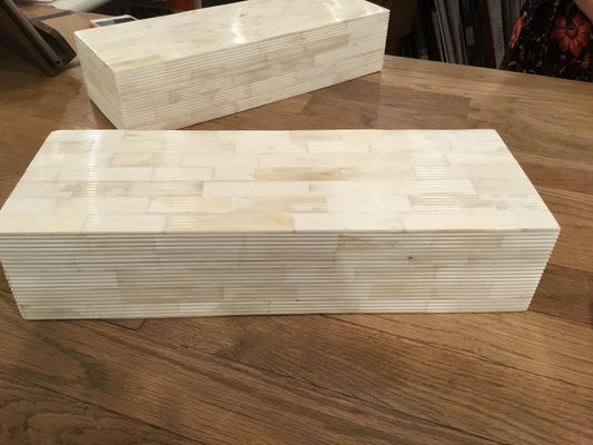 Bone Remote Control Box