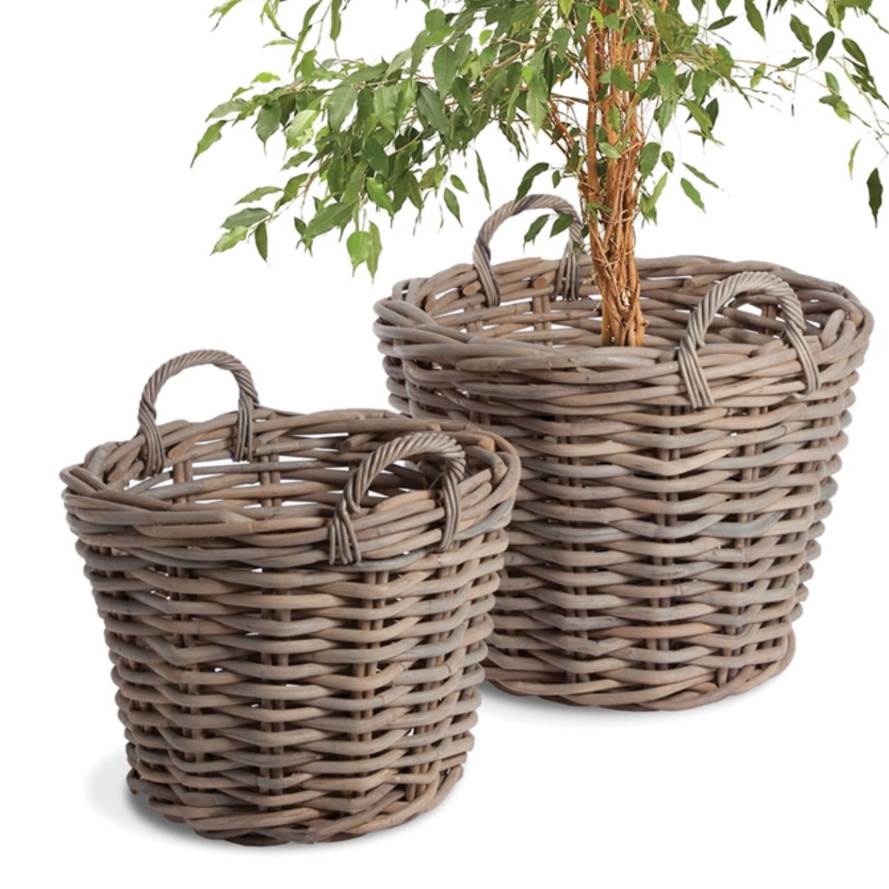 Normandy Tree Baskets