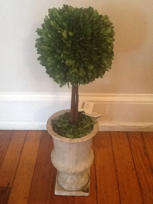 Single Ball Topiary- 24