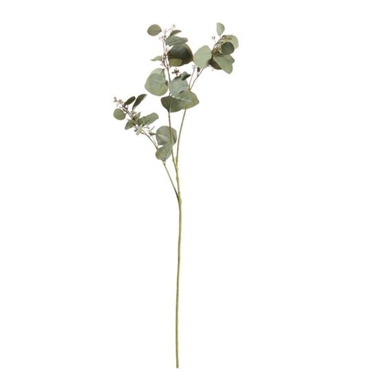 Silver Dollar Eucalyptus Branch 43"