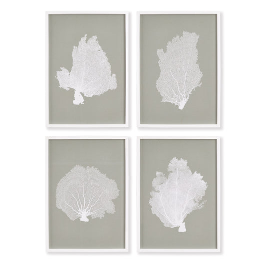 Coral Fans Study, Set of 2