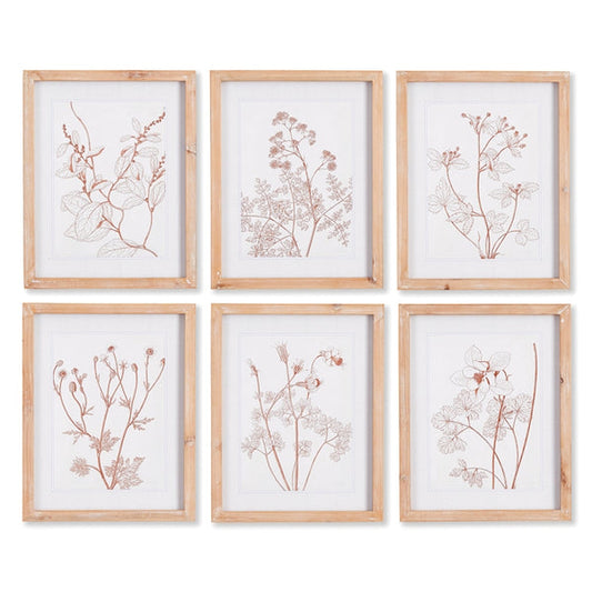 Botanicals in Blush Prints -Sold individually