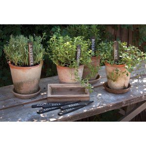 Wooden Herb Plant Stakes - Set/6