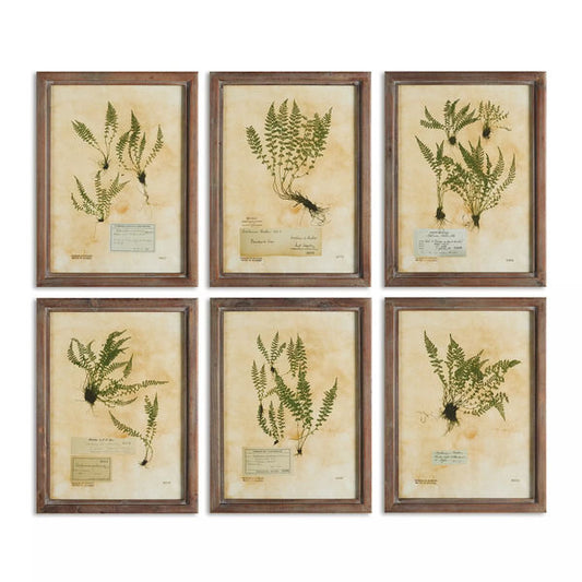 Pressed Fern Print Set of 2