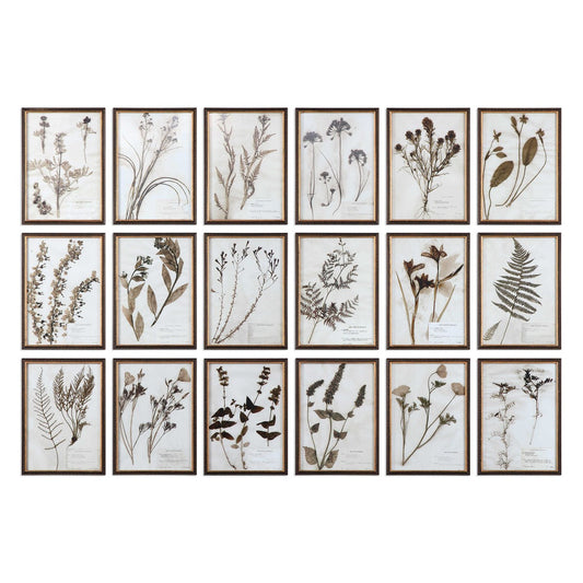 Botany Print