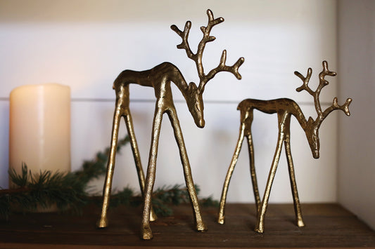 Rex Reindeer