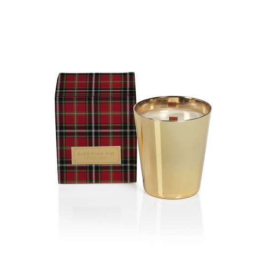 Siberian Fir Candles